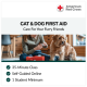 First Aid for Cats and Dogs Online Certification