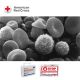 Bloodborne pathogen cleanup training and cleanup kit