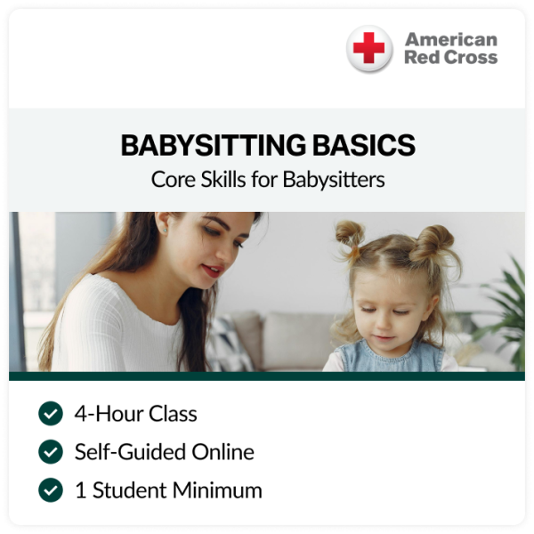 Babysitting Basics Online Certification