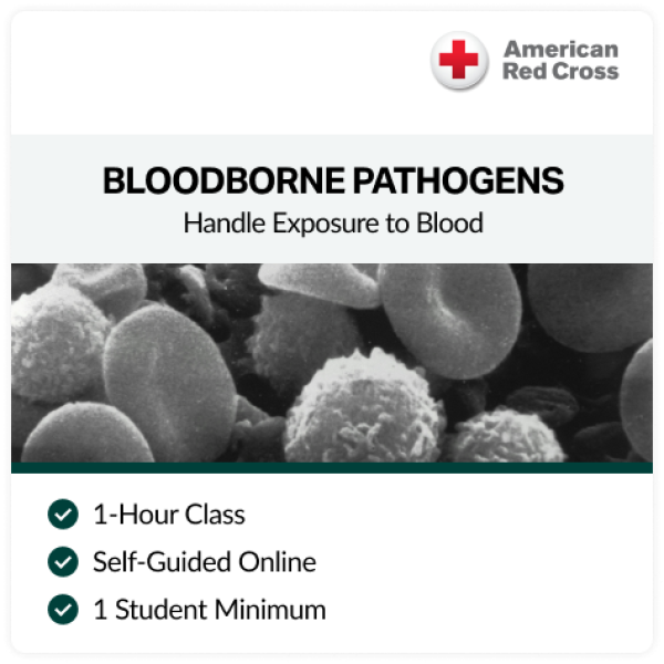 Bloodborne Pathogens Online Certification